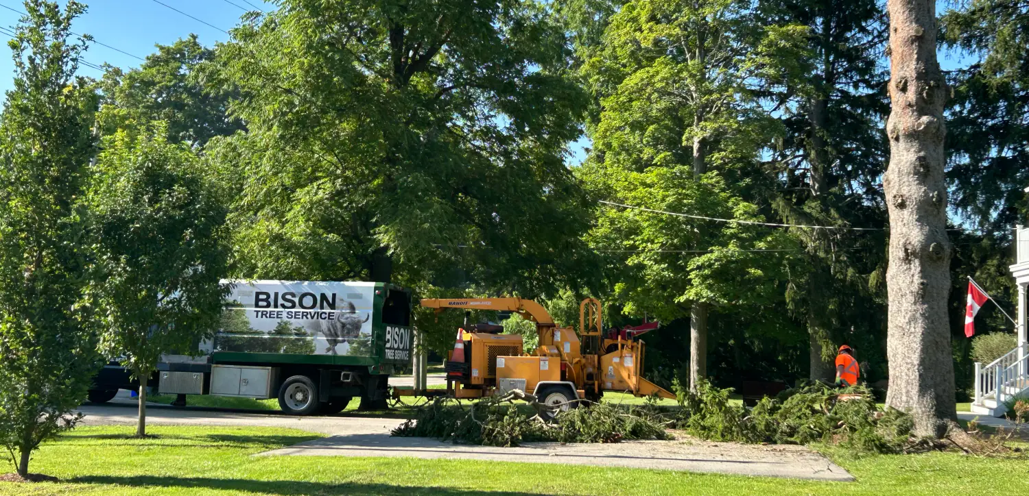 Bison Tree Service crew and branded equipment at a tree removal site